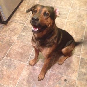 Meet your Posher, Lea